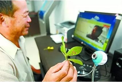 《農(nóng)業(yè)電子商務(wù)試點方案》:農(nóng)業(yè)部300億補貼下發(fā)