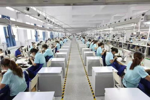 9個月營收10.5億,假發巨頭瑞貝卡持續發力線上